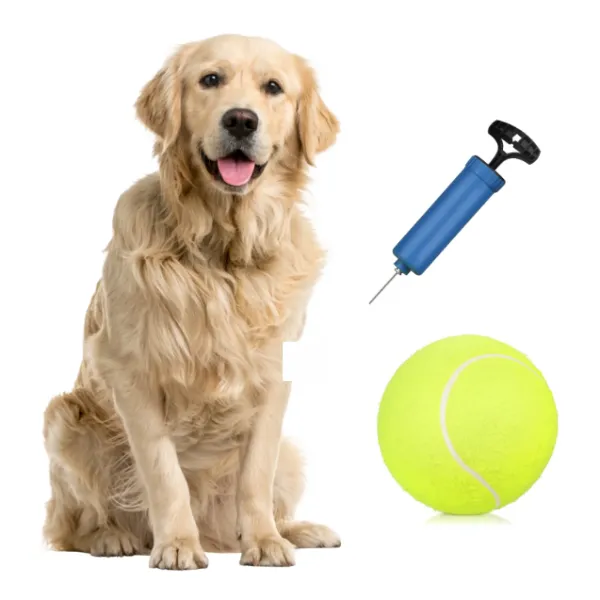 Pelota de tenis de gran tamaño con bomba ideal para niños, adultos y mascotas color verde